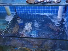 -面道赞宁海海鲜面(迎凤街店)