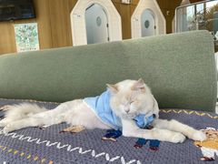 -北京恒爱动物医院(清景园分院)