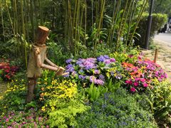 -深圳仙湖植物园