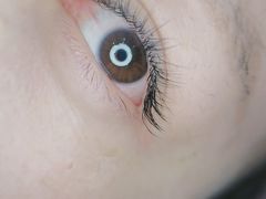 -Dragonfly悠庭·按摩Spa(静安嘉里中心店)