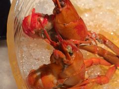 -红盔甲·小龙虾(天钥桥店)
