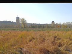 -永定河休闲森林公园