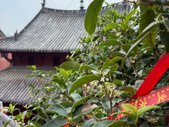 -长春观