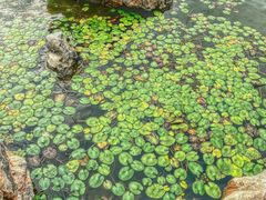-东湖落雁景区