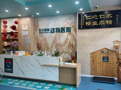 -东日国际动物医院·CT·心脏专科(桃源分院)
