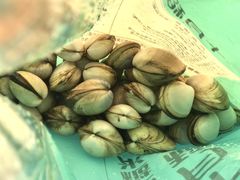 -启东黄金海滩景区