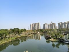-王借岗森林公园