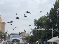 -伊犁老城喀赞其民俗旅游区