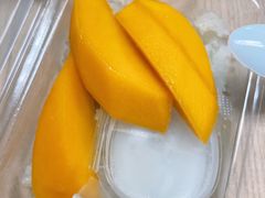 -Magic Food Point(Airport Street food)