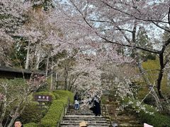 -三千院