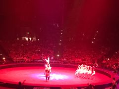 -珠海横琴长隆《卡卡虎奇遇记》