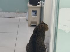 -纳吉亚猫专科动物医院博雅分院