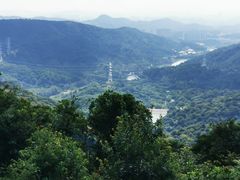 -黄埔油麻山森林公园