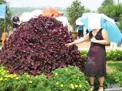 -丁香湖丁香小镇Citypark滑雪公园戏雪嘉年华