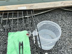 -DGE季风钓虾营地·团建·聚会