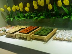 android_upload_pic-蒙肥羊·酸汤潮牛·鲜牛肉火锅烤肉自助(岗顶店)