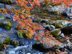-本溪关山湖风景区