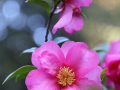 -昆明市金殿名胜区