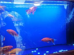 -知足堂养生会所(碑亭巷店)