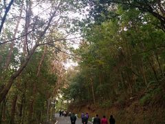 -神光山国家森林公园