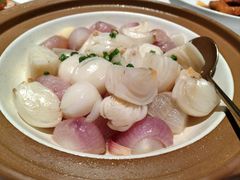-许家菜(DT51店)