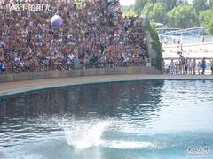 -秦皇岛乐岛海洋王国