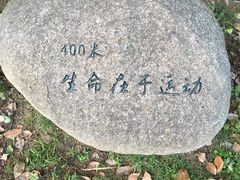 -桐乡植物园