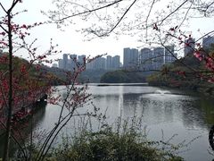 -重庆彩云湖湿地公园