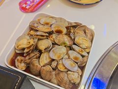 捞汁花蛤-徐家屯铁锅炖(宋家庄店)