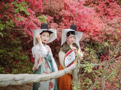 -木兰云雾山