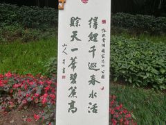 -重庆彩云湖湿地公园