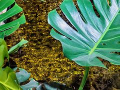 -邈墨茶馆(凤起路店)