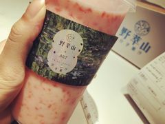-野萃山·潮汕厚果汁(十亩地店)
