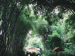 -望江楼公园