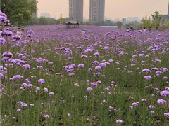 -杭州城北体育公园