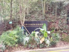 -缙云山景区