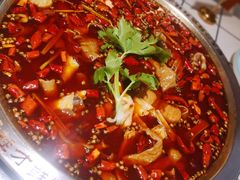 -蛙一刀·麻椒鱼火锅(金仙桥店)