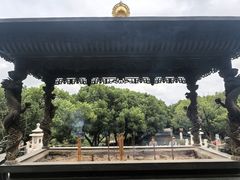 -太子山公园(园东路)