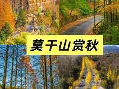 -莫干山风景区