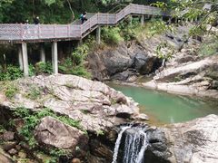 -广州白江湖森林公园