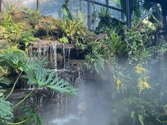 -东莞植物园
