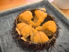 -海胆小馆(东北水饺·春柳店)