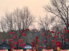 -中国翰园碑林