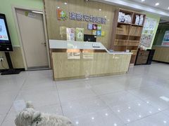 -瑞鹏宠物医院犬猫全科(真大分院)