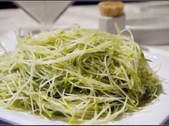 清炒豆苗-琬苑鸽庄·川粤融合菜(解放碑总店)