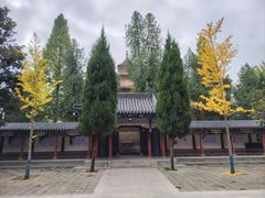 -兴教寺