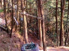 -大罗山风景区
