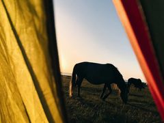 -青海湖国家重点风景名胜区