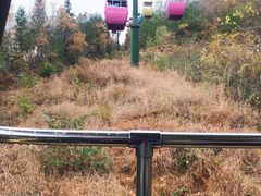 -蝶舞清江·恩施云顶景区(黄鹤峰林)