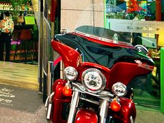 -Famous肥猫墨西哥音乐餐吧(五棵松华熙LIVE店)